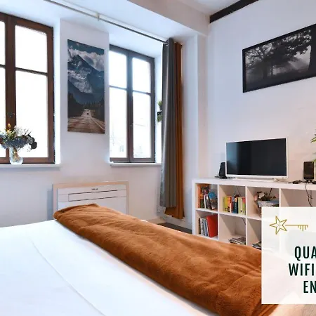 Soon - Le Loft Apartment Colmar