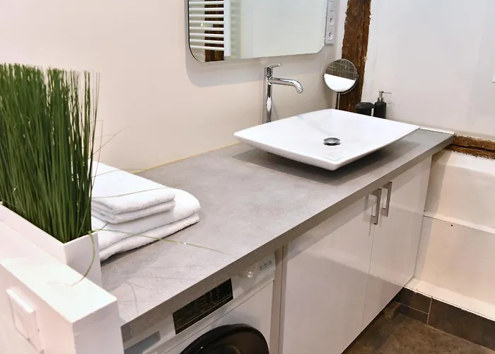 Soon - Le Loft 公寓 科尔马